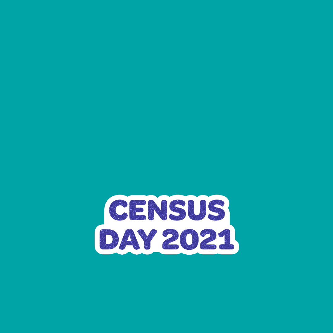 Census_Balloons_Sticker_02