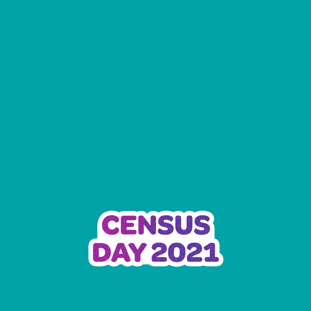 Census_Fireworks_Stickers
